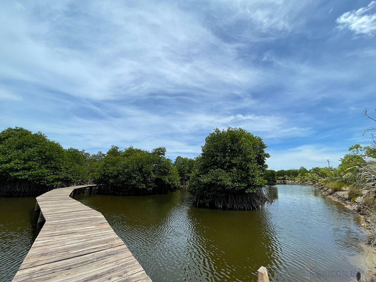 Rừng đước và cầu Lagoona Bình Châu