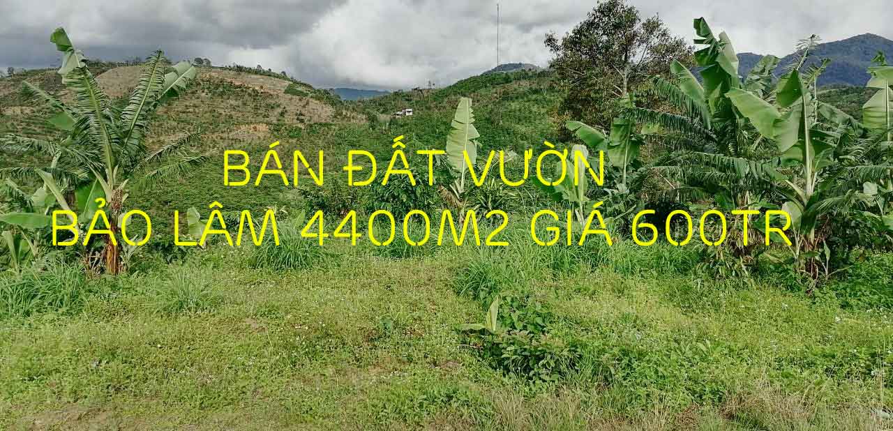 Bán đất vườn Bảo Lâm 4400m2 giá 600tr