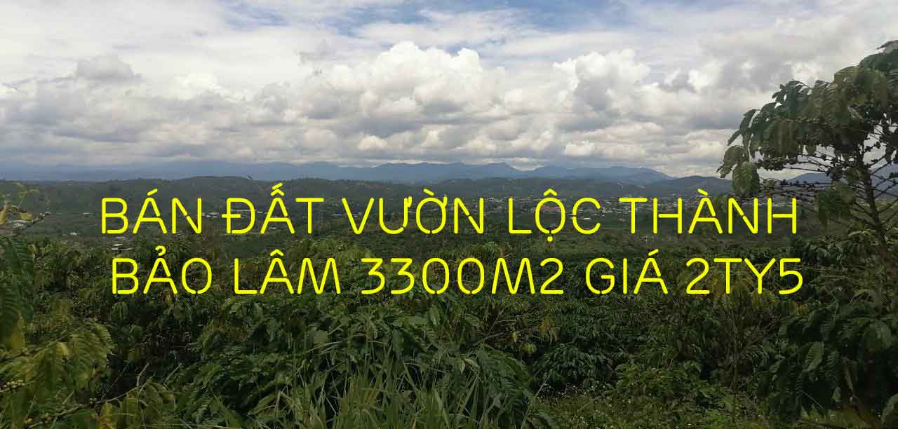 Bán đất vườn Lộc Thành Bảo Lâm 3300m2 giá 2ty5
