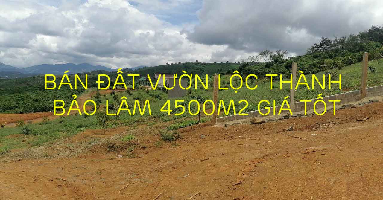 Bán đất vườn Lộc Thành Bảo Lâm 4500m2 giá tốt
