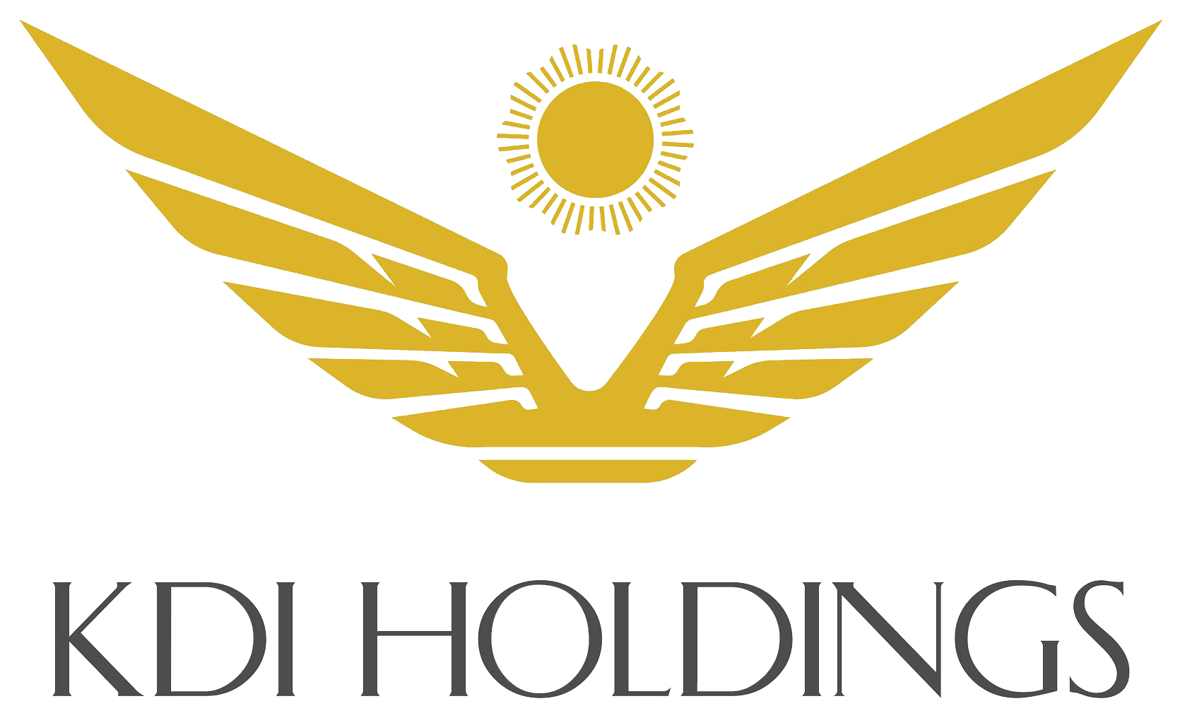 logo-KDI-Holdings